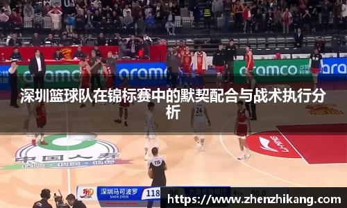 深圳篮球队在锦标赛中的默契配合与战术执行分析